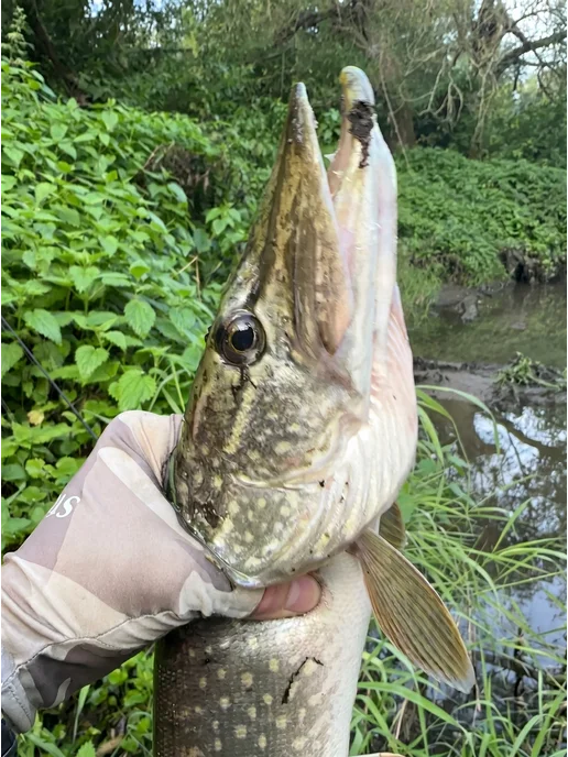 FLIP FISH Приманки силиконовые набор на щуку окуня судака для рыбалки, белый, фото 2