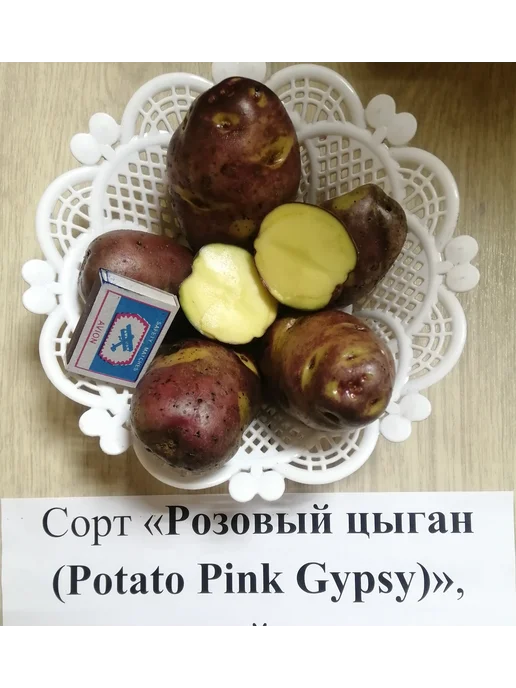 АЛГОР-ЭКОПРОДУКТ Картофель Розовый цыган - 10 шт, 10 шт