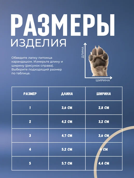 ЛКЛаб Обувь для собак мелких и средних пород кеды, синий, фото 2