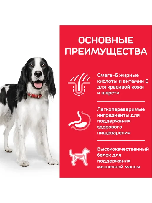 Сухой корм HILL'S Сoбак для собак, взрослые, средние, курица, 14 кг, фото 5