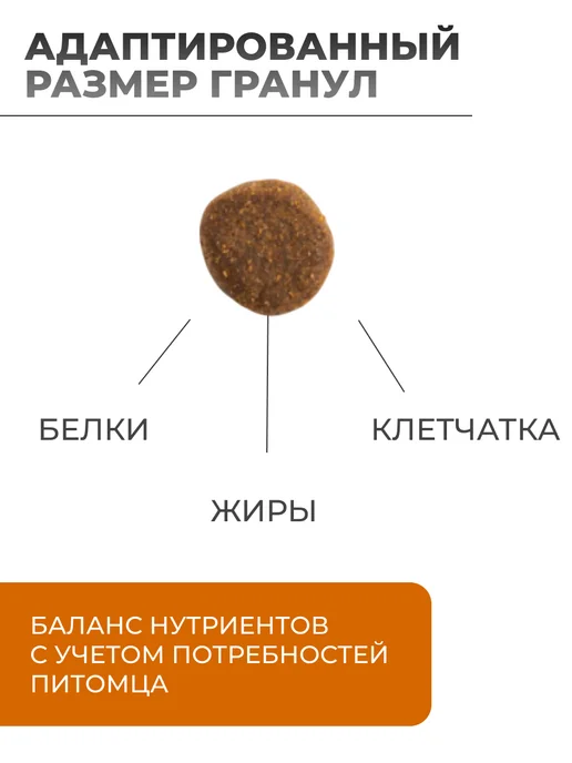 Сухой корм Vivere Вивер Dog для собак, взрослые, крупные, ягненок, 12 кг, фото 2