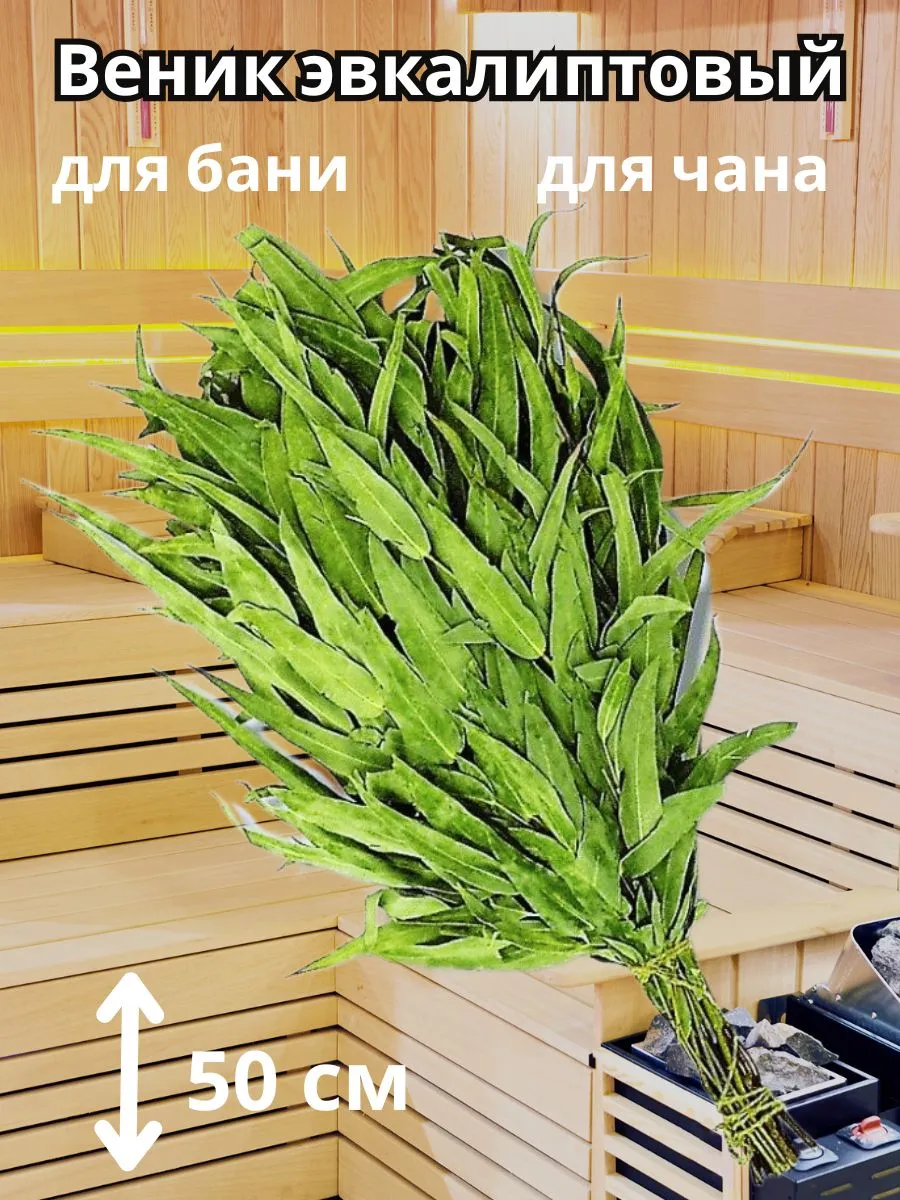 Веник из эвкалипта зеленого