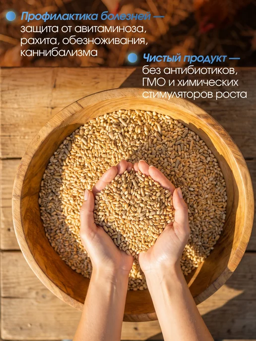 Ваше Хозяйство Витамины для кур несушка для яйценоскости здравур 1500 г, 1,5 кг, фото 4