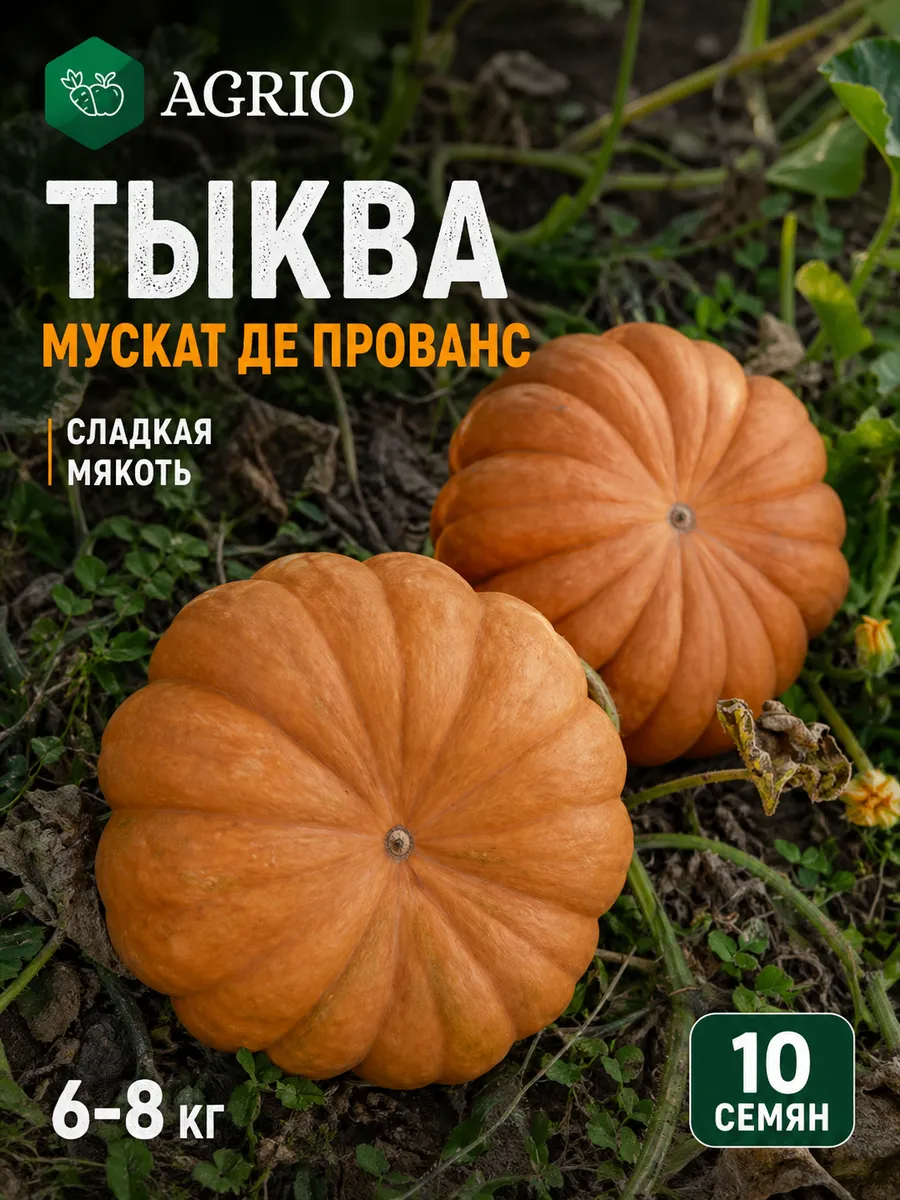 Семена тыквы сладкой раннеспелой Мускат де Прованс 10 шт