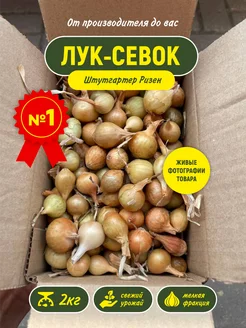 Интернет‑магазин Wildberries: широкий ассортимент товаров - скидки каждый день!