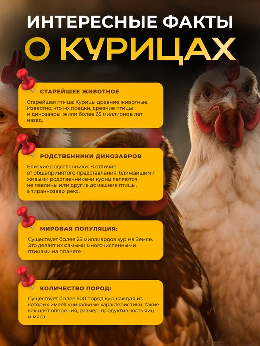 Fat Buffalo Чипсы из мяса курицы 500 гр с Чесноком, 500 г, фото 3