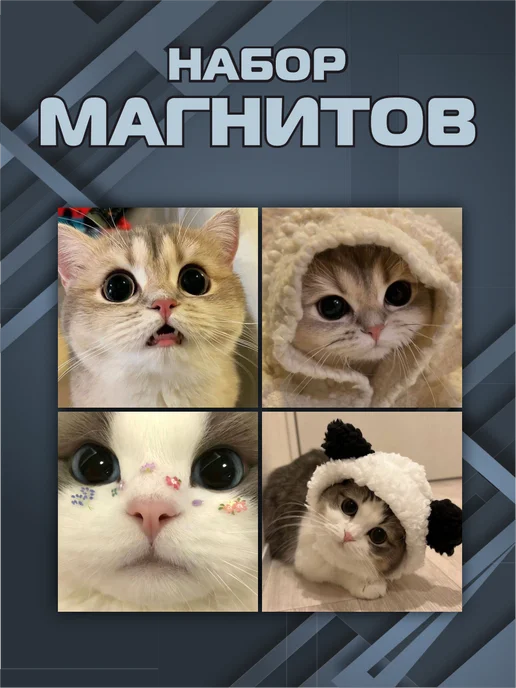 Твои Магниты Магниты котики, вариант