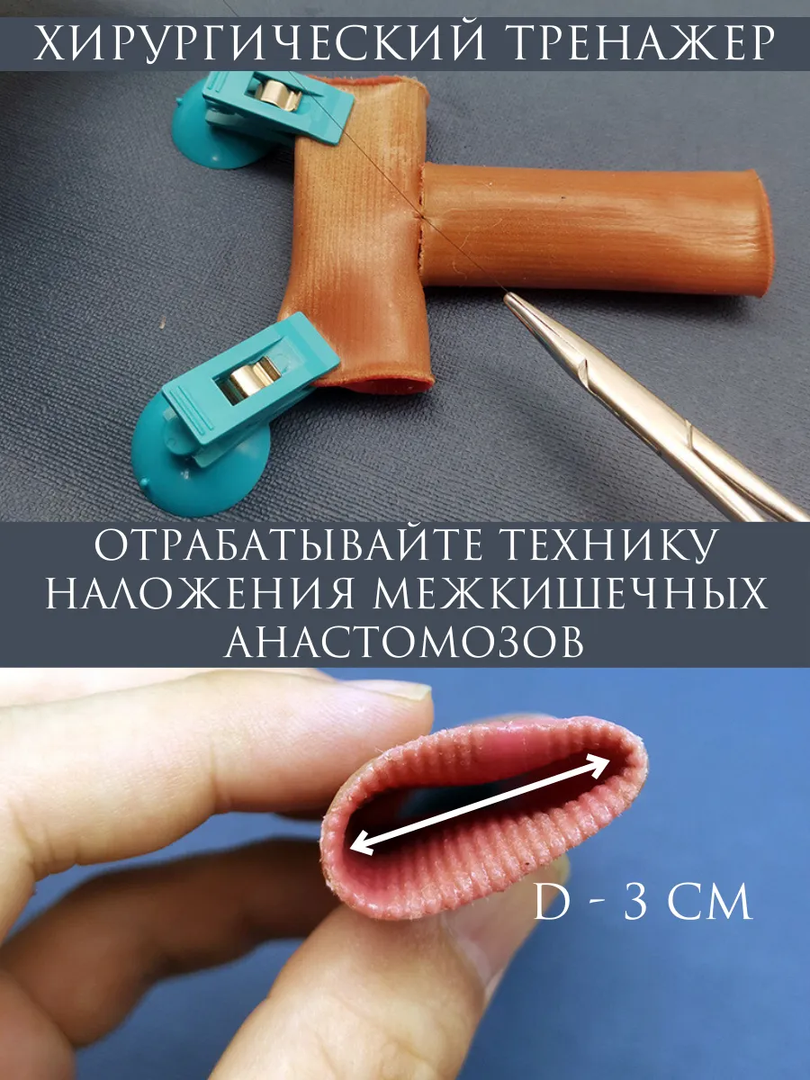 Хирургический тренажер для наложения кишечных анастомозов