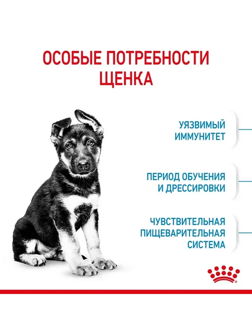 Сухой корм Royal canin для собак, крупные, щенки, 3 кг, фото 2