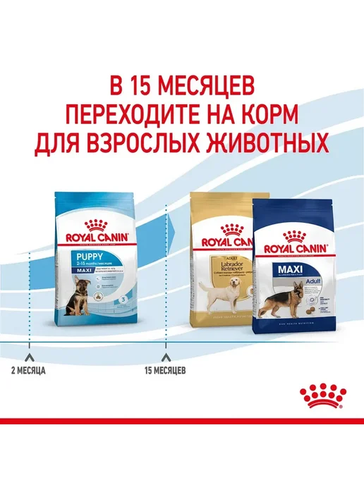 Сухой корм Royal canin для собак, крупные, щенки, 3 кг, фото 5