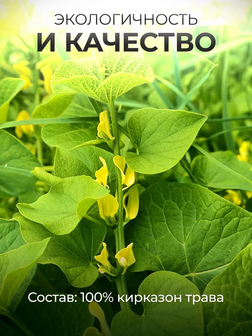 Мед и Конфитюр Кирказон трава 40 гр, 40 г, фото 5