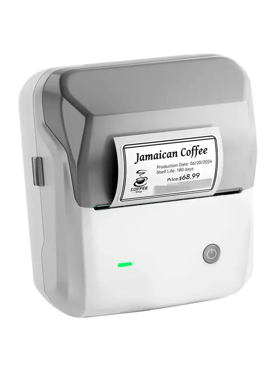Термопринтер этикеток NIIMBOT Label Printer B31 Gray