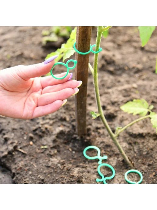 МУЛЬТИДОМ Набор зажимов для подвязки растений 50 шт, 50 шт, фото 7