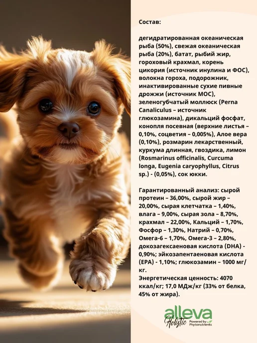 Сухой корм Alleva Holistic для собак, щенки, рыба, 0,8 кг, фото 2
