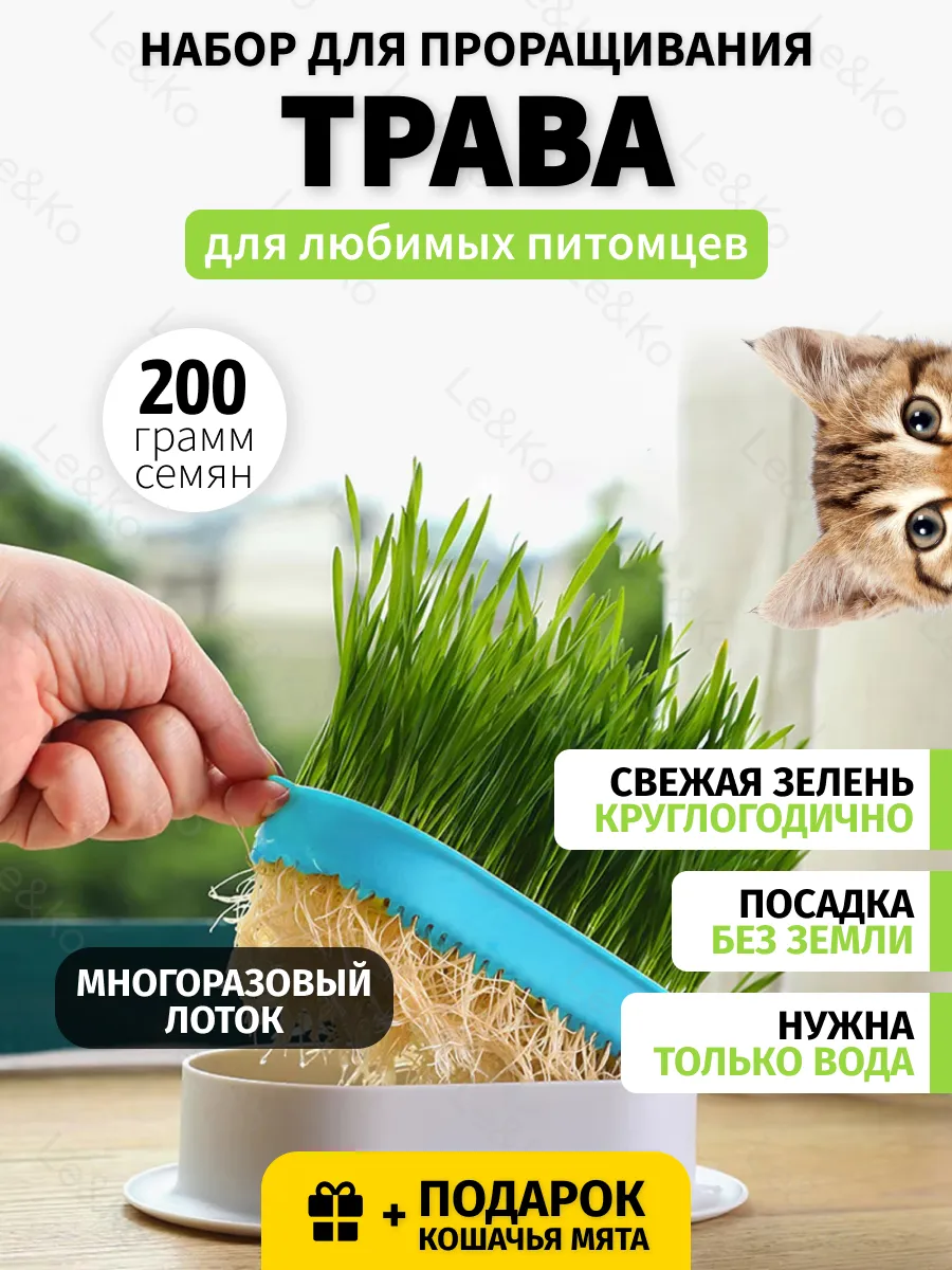 Трава для кошек для проращивания