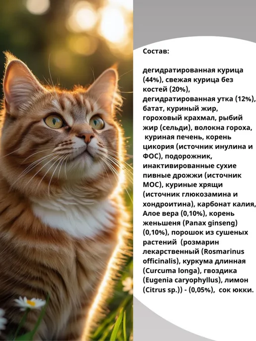 Сухой корм Alleva Holistic Кошек для собак, курица, 0,4 кг, фото 2