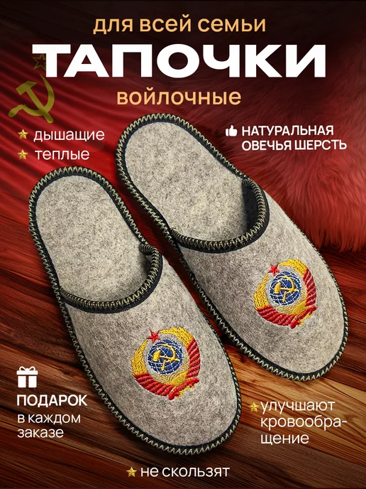 Экотека Теплые домашние тапочки закрытые натуральные из войлока, черный