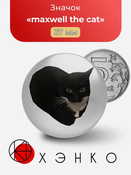 Maxwell The Cat