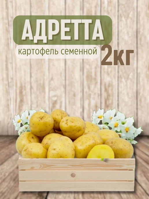 Картофель 21 Семенной картофель Адретта 5 кг, 2 кг