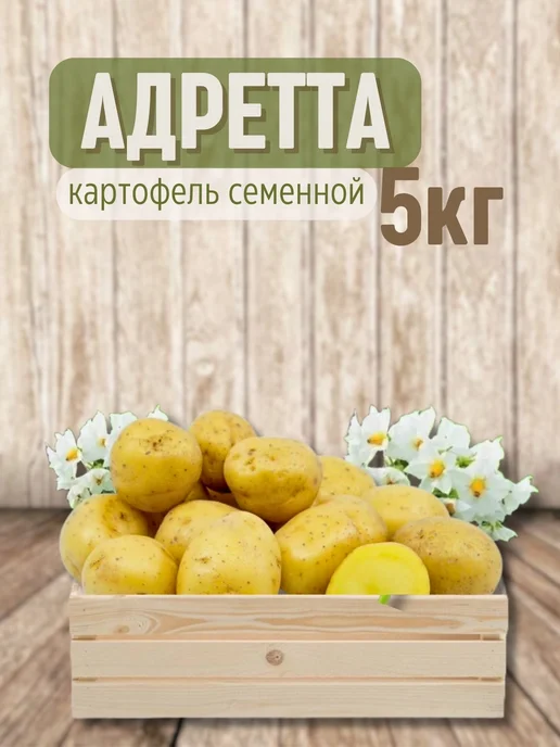 Картофель 21 Семенной картофель Адретта 5 кг, 5 кг