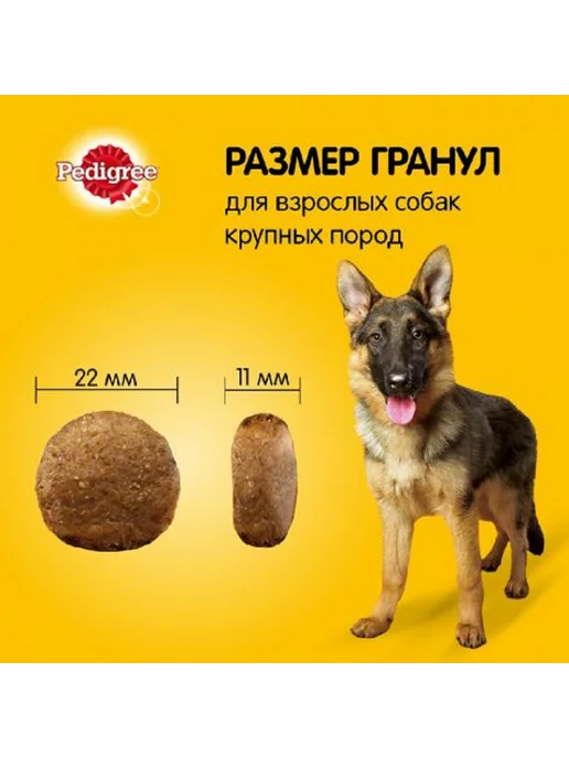 Сухой корм PEDIGREE Шт. для собак, взрослые, говядина, 13 кг, фото 3