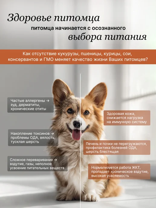 Сухой корм ALAMI для собак, крупные, средние, телятина, 1 кг, фото 2