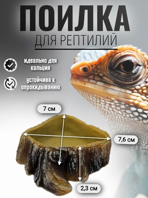 AquaTerra Кормушка-поилка для рептилий и насекомых, коричневый