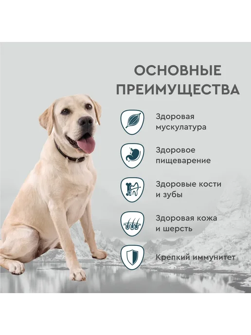 Сухой корм Secret for Pets Секрет для собак, ягненок, 15 кг, фото 2