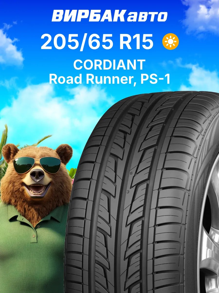 Шины летние 205/65R15 Road Runner, PS-1 94H