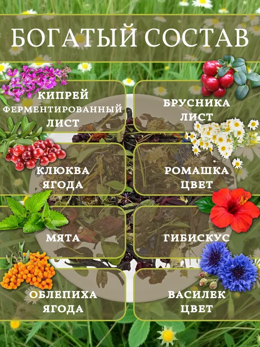 алтайрост Алтайский чай "Таежный", 75 г, 75 г, фото 2