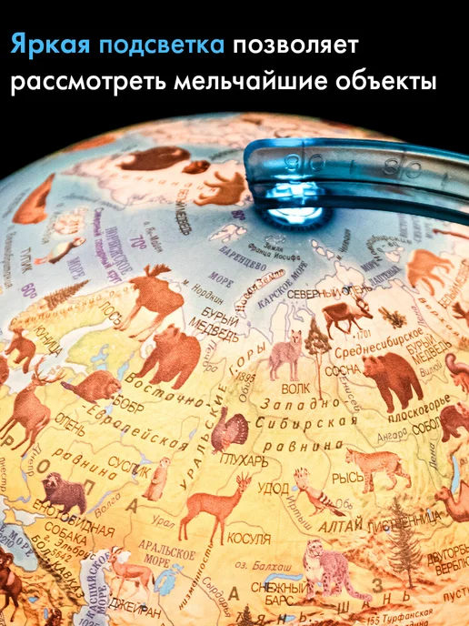 Globen Глобус зоогеографический с подсветкой детский для школы 25см, вариант, фото 2