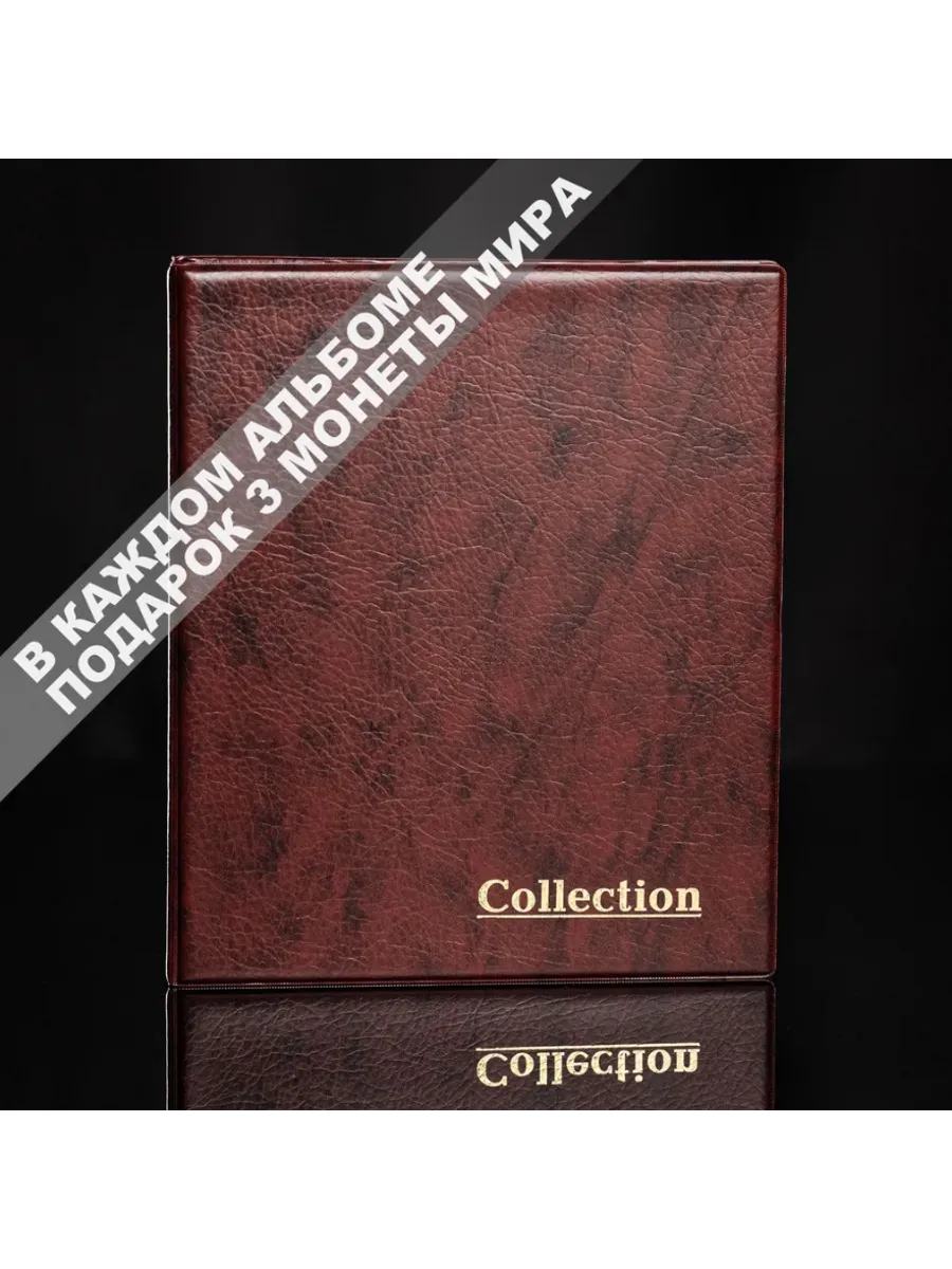 Альбом для монет и банкнот с ячейками, бордовый Оптима