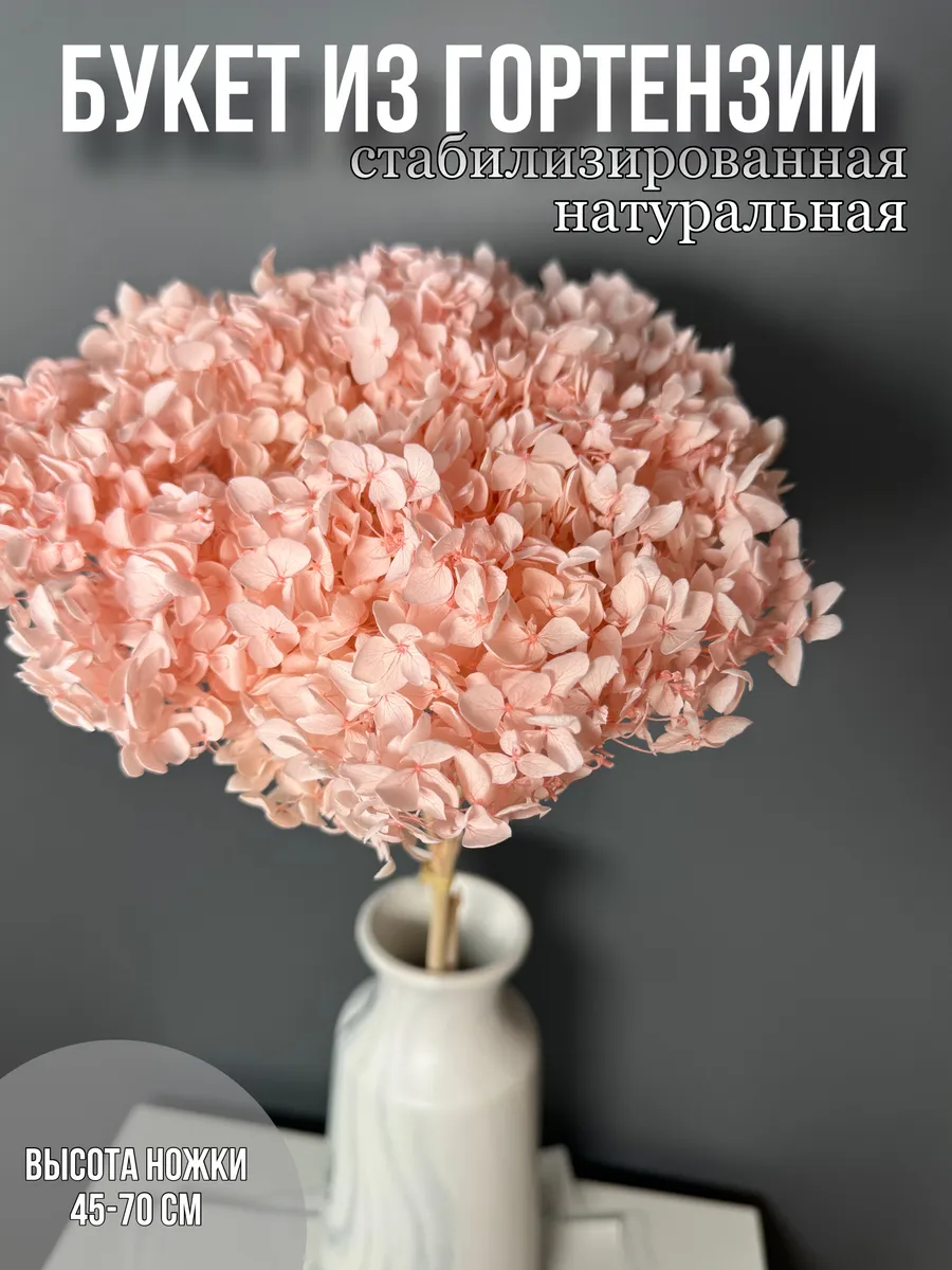 Гортензия стабилизированная сухоцветы для декора