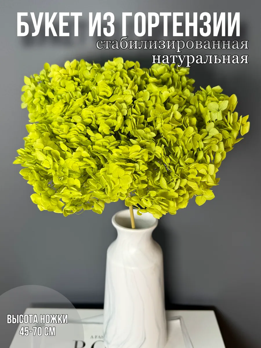 Гортензия стабилизированная сухоцветы для декора