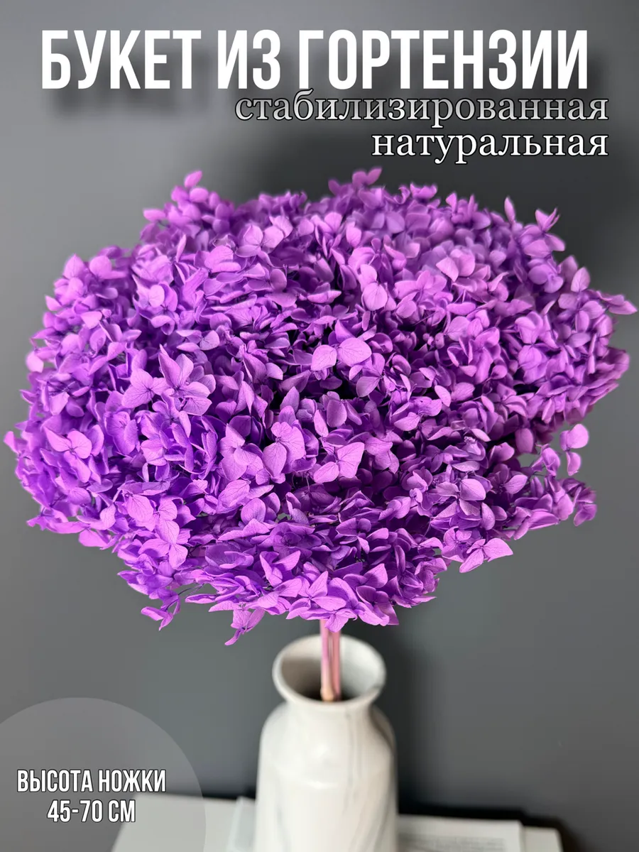 Гортензия стабилизированная сухоцветы для декора