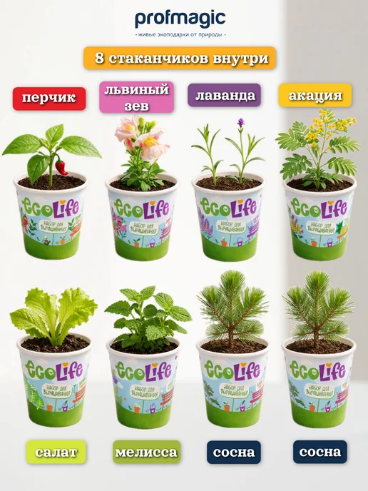 magicme Наборы для выращивания растений эколайф, 8 шт, 8 шт, фото 2