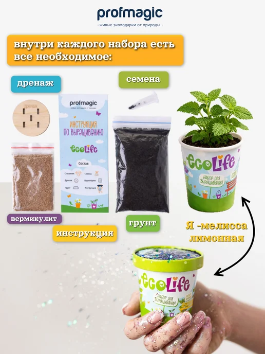 magicme Наборы для выращивания растений эколайф, 8 шт, 8 шт, фото 3