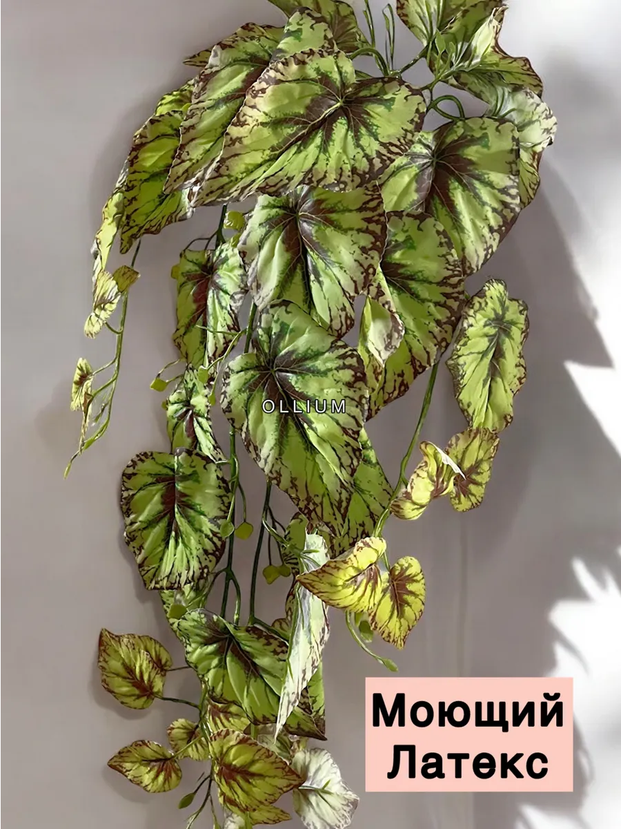 Декоративный свисающий куст зелени на стену для дома