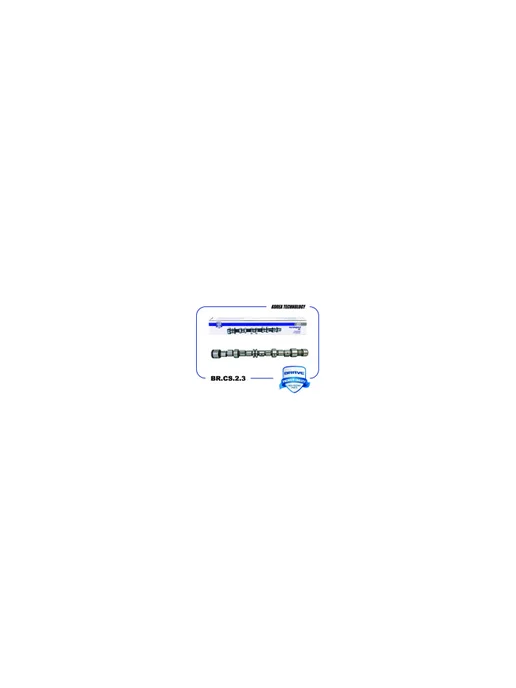 BRAVE Вал распределительный BR.CS.2.3, вариант