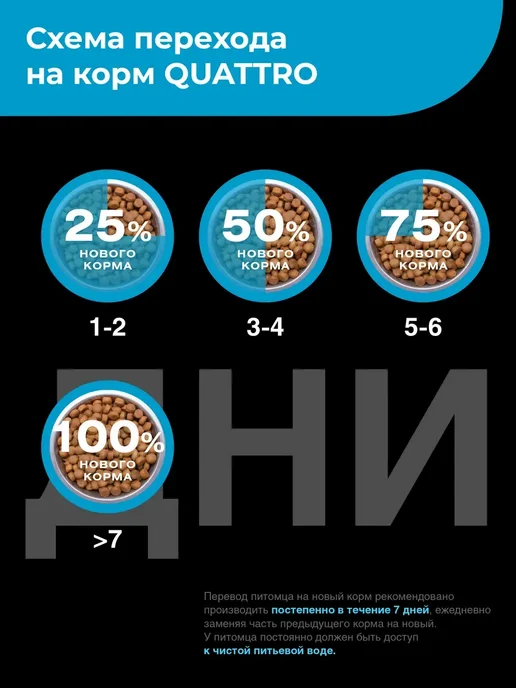 Сухой корм QUATTRO Такса для собак, лосось, 12 кг, фото 7