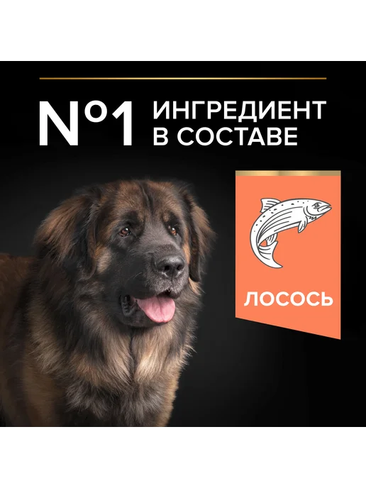 Сухой корм PRO PLAN Кожа для собак, крупные, чувствительное пищеварение, лосось, 14 кг, фото 5