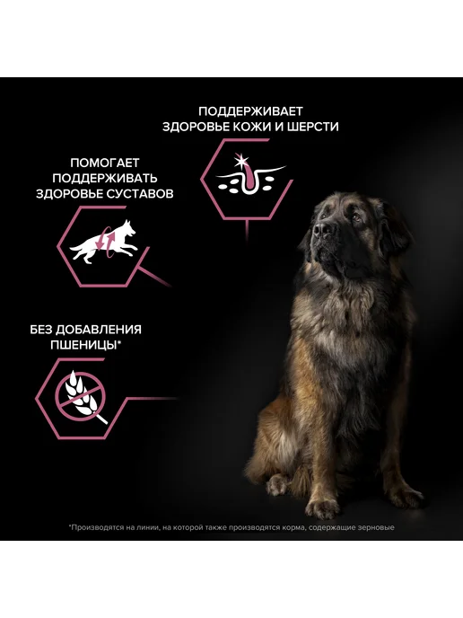 Сухой корм PRO PLAN Кожа для собак, крупные, чувствительное пищеварение, лосось, 14 кг, фото 6