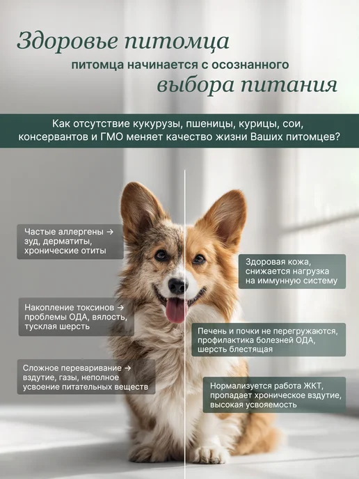 Сухой корм ALAMI для собак, крупные, средние, индейка, 1 кг, фото 2