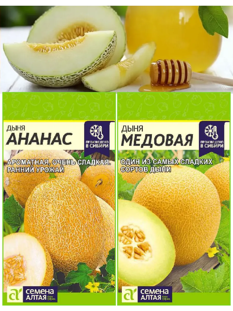 Семена дыни скороспелой. Набор