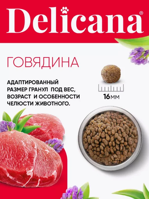Сухой корм Delicana для собак, 2 кг, фото 4
