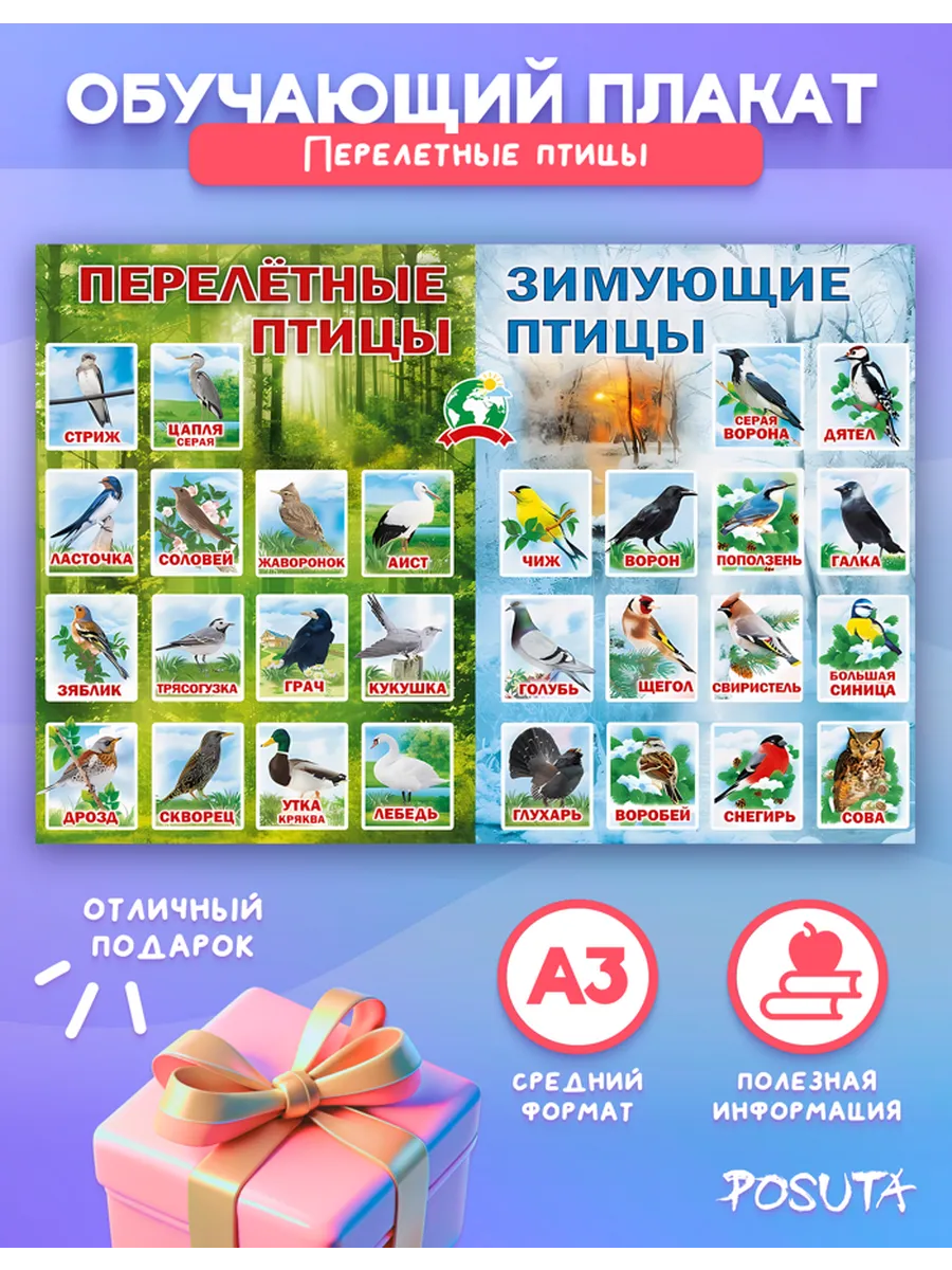 Обучающие постеры на стену перелетные птицы