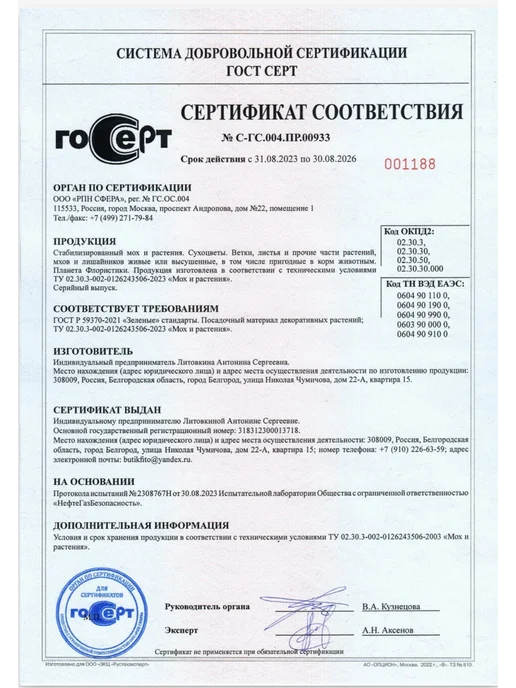 Планета Флористики Мох стабилизированный ягель декоративный, вариант, фото 3