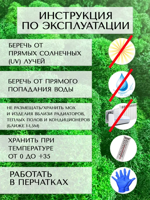 Планета Флористики Мох стабилизированный ягель декоративный, вариант, фото 5