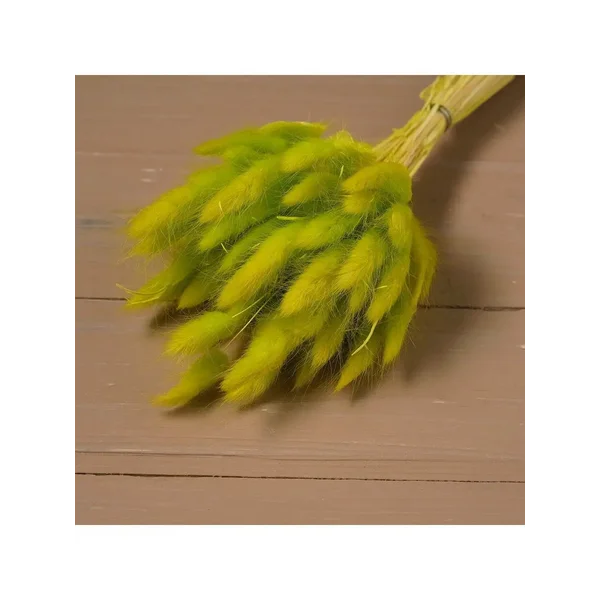 Сухие цветы лагуруса, набор max 60 шт. цвет зеленый