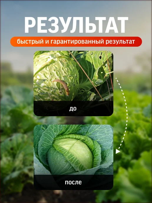 Эксперт Средство от слизней и улиток 200 г, гроза для вредителей, 100 г, фото 5